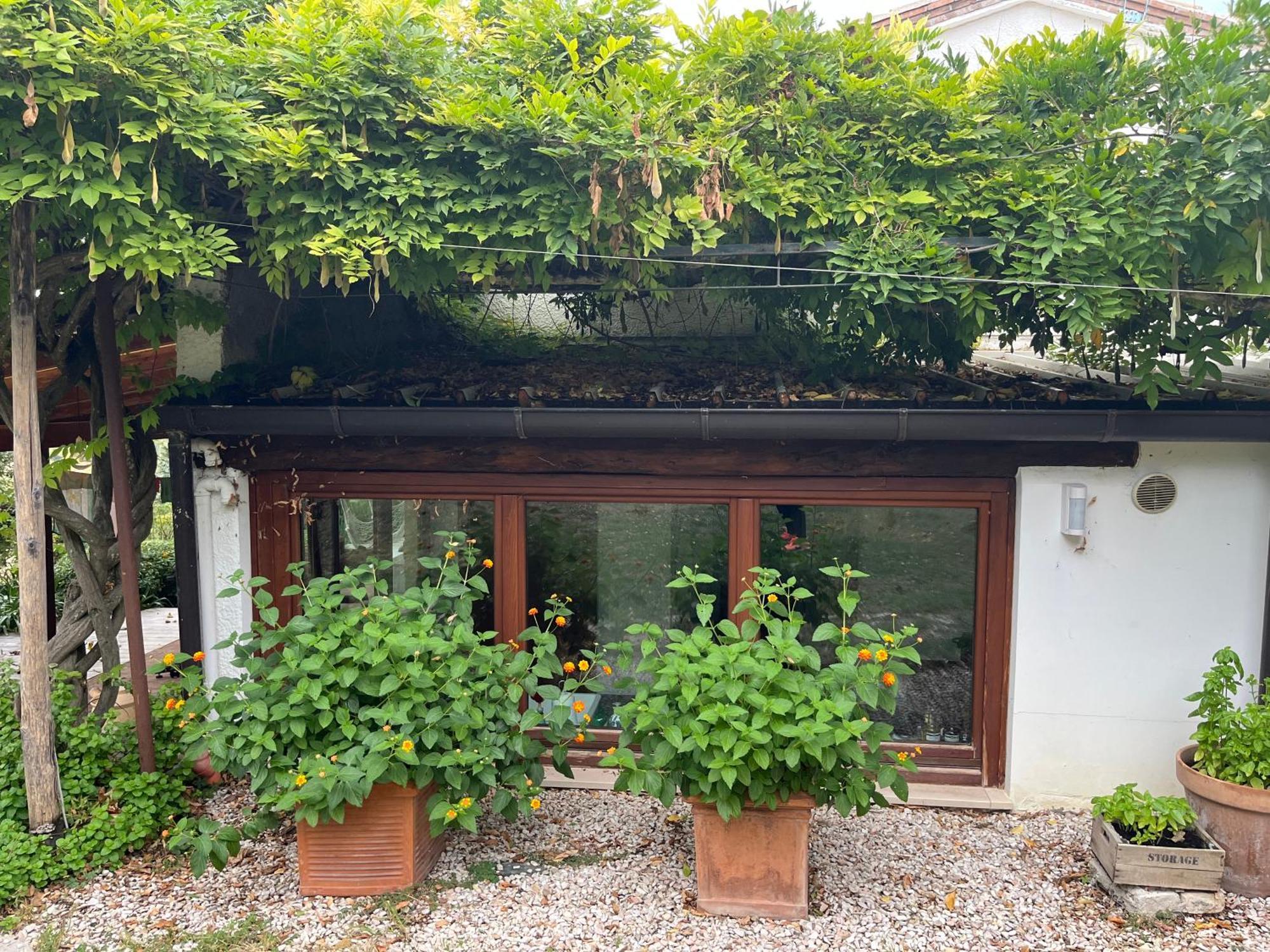 Apartment Casa Sant Angelo